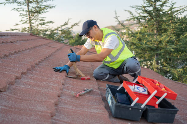 Best Metal Roofing Contractor  in Steele, AL
