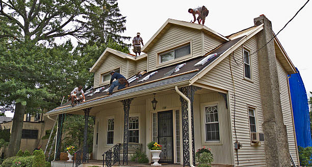Best Roof Gutter Cleaning  in Steele, AL