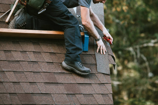 Best Gutter Installation and Roofing  in Steele, AL